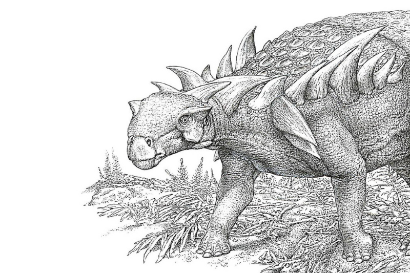 Illustration of the Horshamosaurus