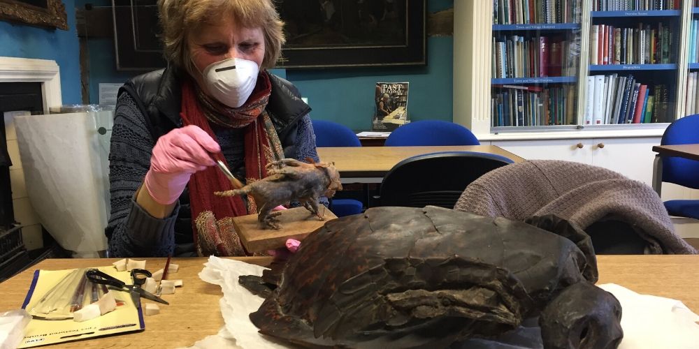 A museum volunteer cleaning fossilised objects