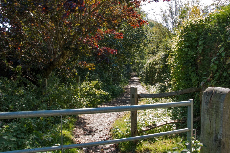 A view of the Downs Link bridleway from Blackhorse Farm