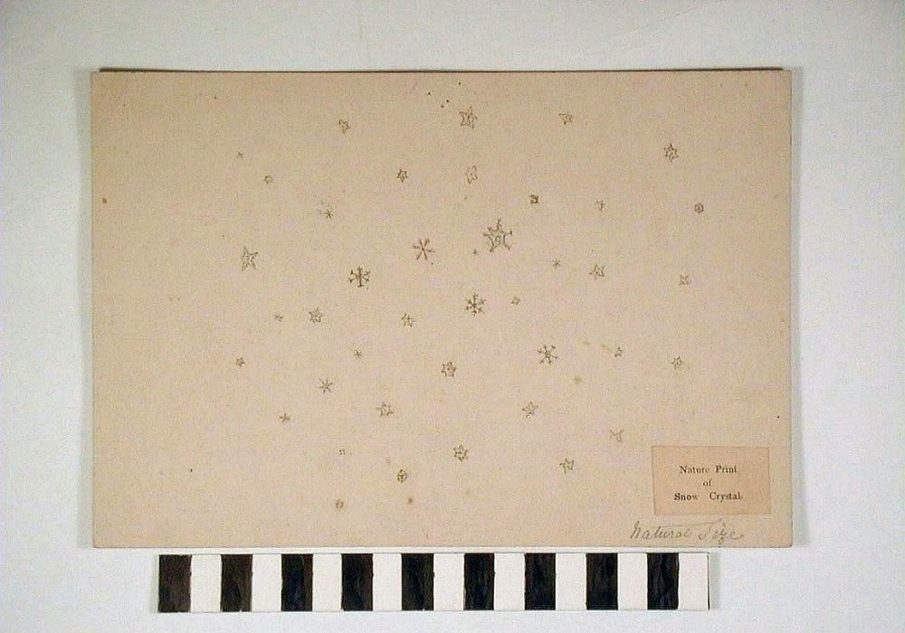 Nature print of snow crystals