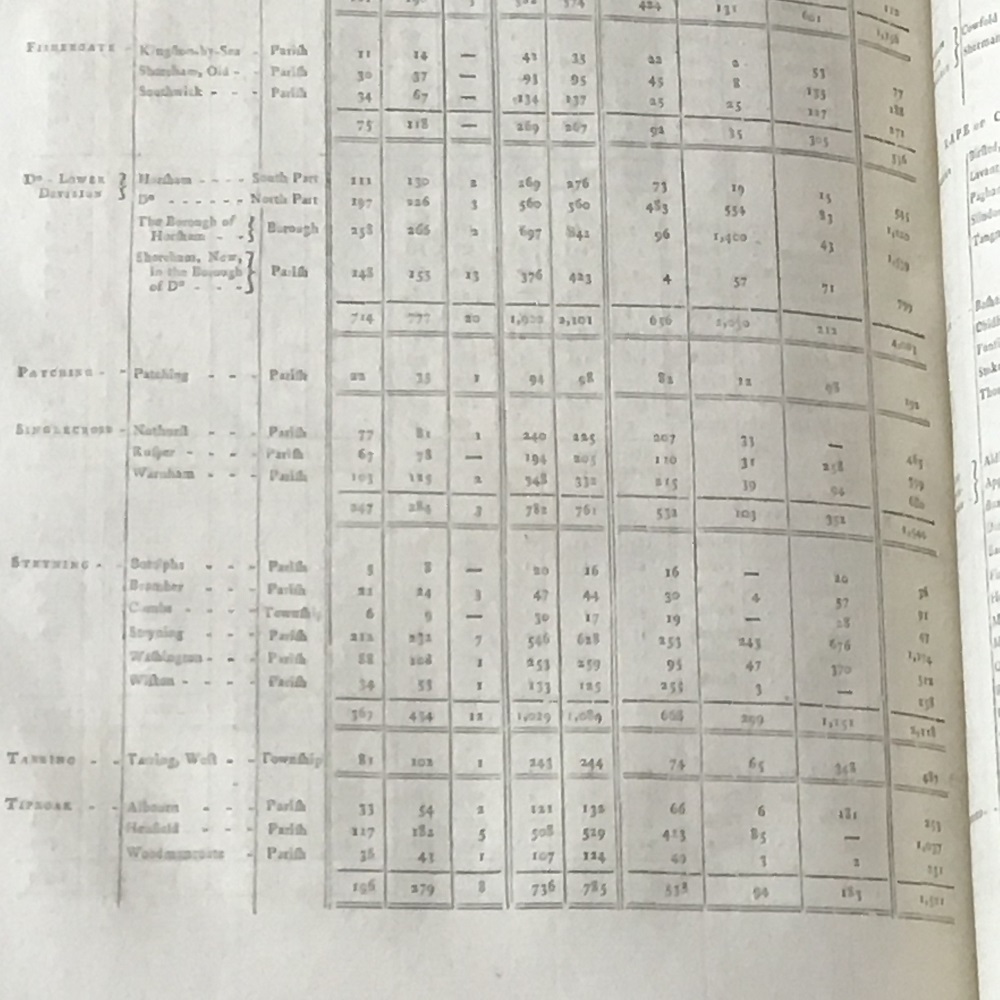 Steyning Census