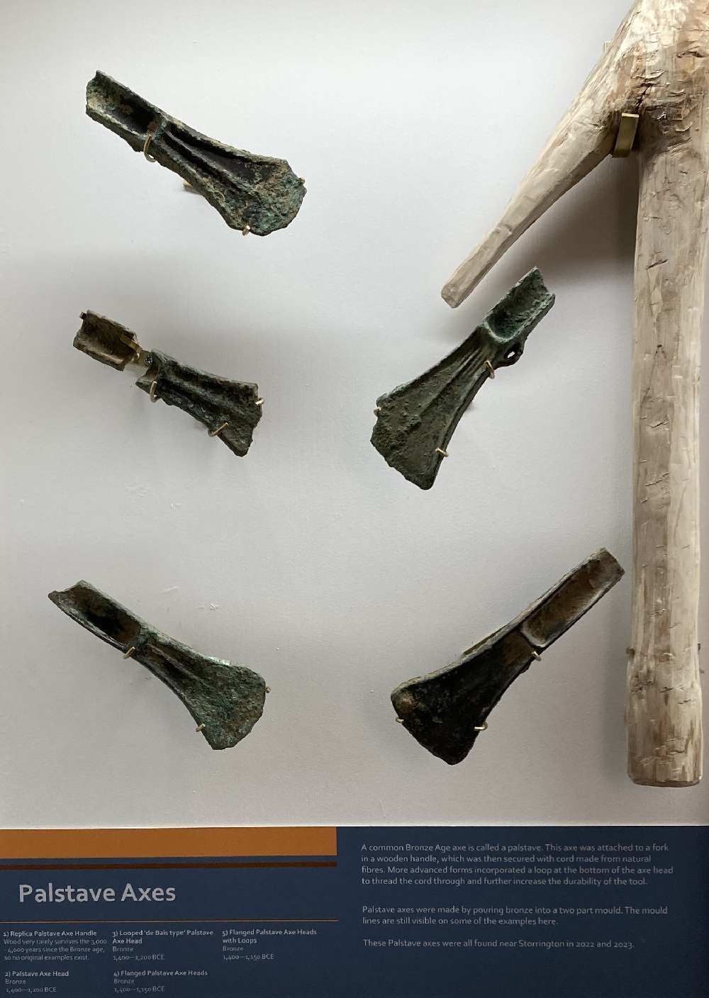 Palstave axeheads mounted on display