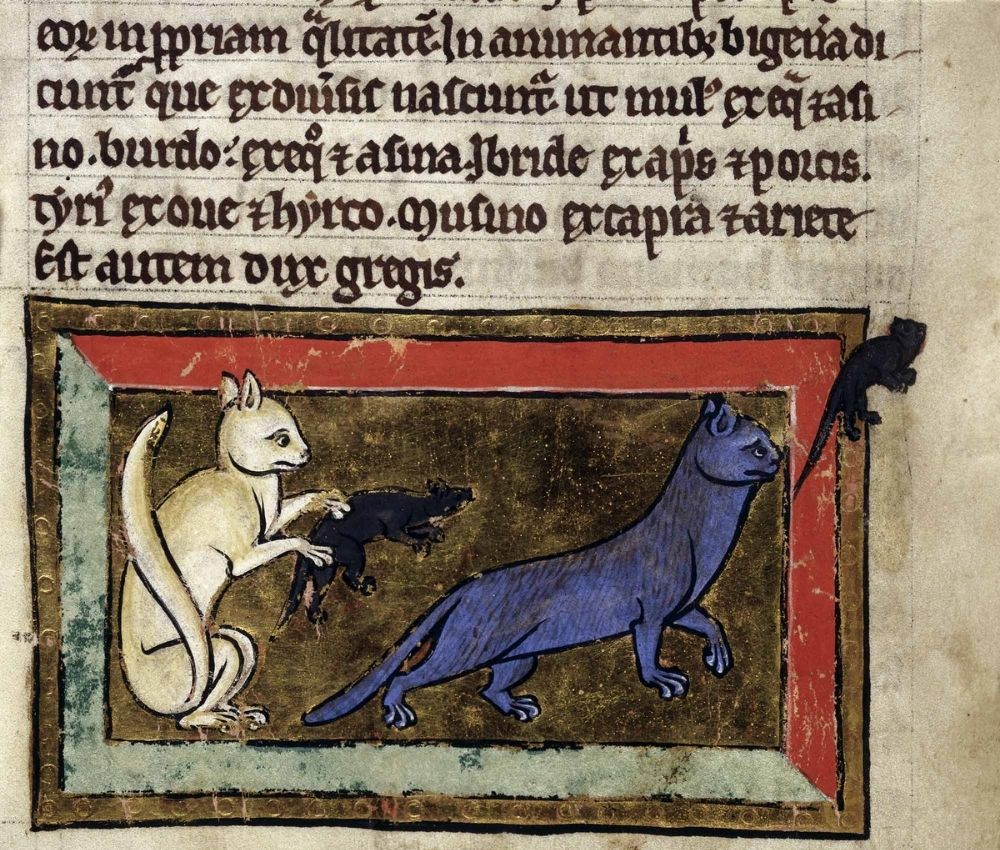 Medieval Bestiary, image copyright British Library