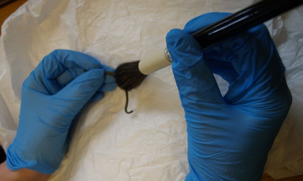 Dusting an Iron spur with conservation brushes