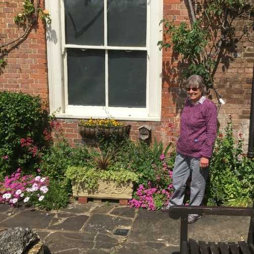 Heather at Horsham Museum