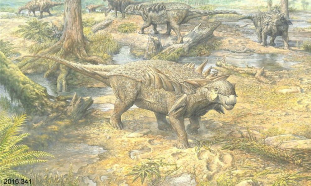 A gouache colour painting of 'Horshamosaurus Rudgwickensis' by artist John Sibbick showing a landscape view of three Horshamosauri and other dinosaurs around a watering hole.