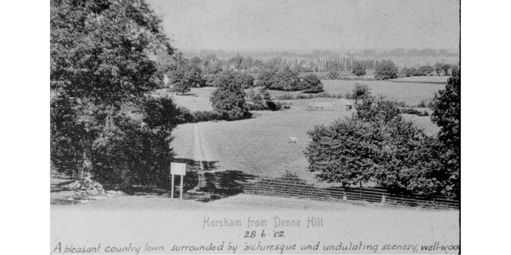 Postcard of Denne Hill Horsham