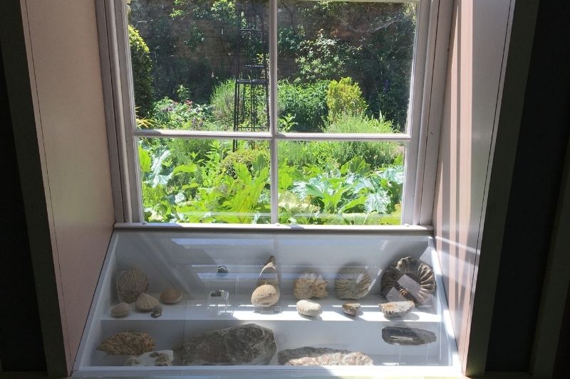 Flints and fossils are displayed in a freshly painted white cabinet in the window. The display catches the light from the museum garden beautifully