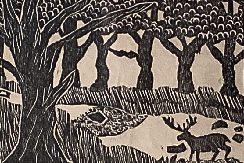 A woodcut of a forest and a deer